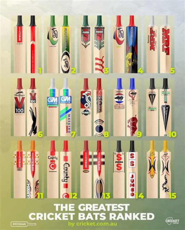What is the best cricket bat brand in the world?