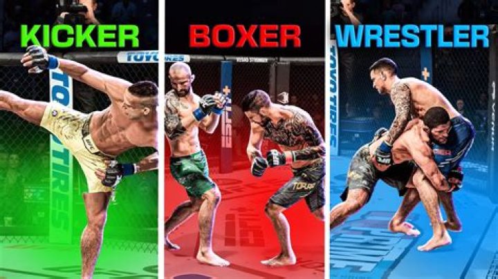 What is the best fighting style in UFC?
