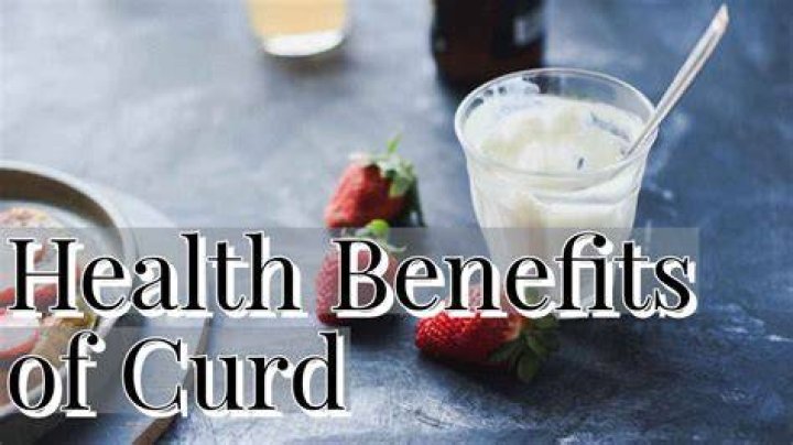 What is the best time to eat curd?