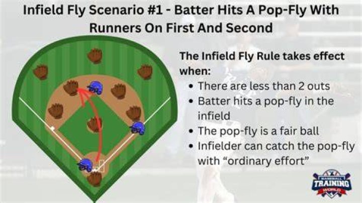 What is the difference between a pop fly and a fly ball?
