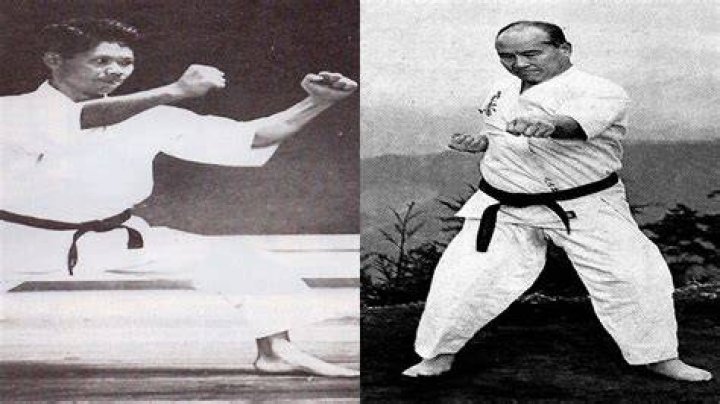 What is the difference between Shotokan and Kyokushin karate?
