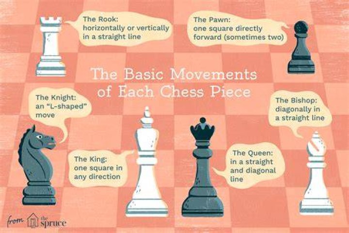 What is the first move in chess called?