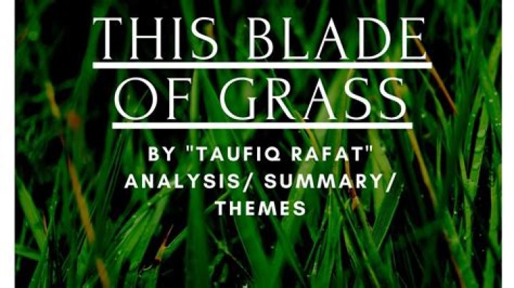 What is the poem a blade of grass about?
