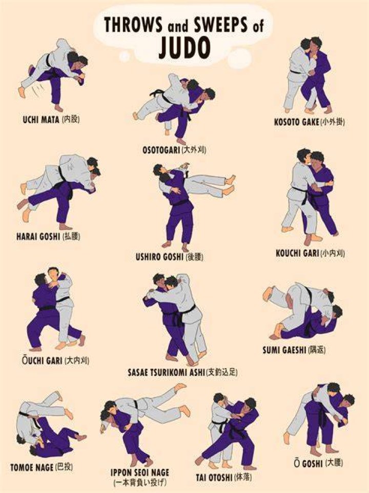 What is the principle of Jiu-Jitsu?