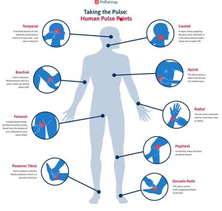 What is the reason for pulse rate to be high?