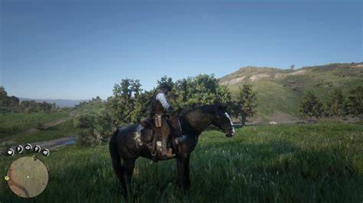 What is the white stuff in my horse's hoof?