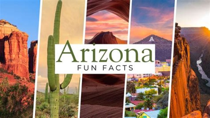 What kind of eagles are in Arizona?