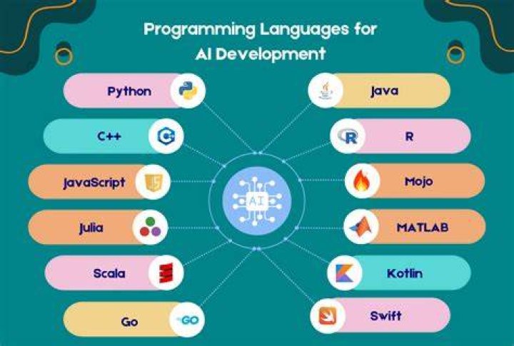 What programming language does flappy bird use?