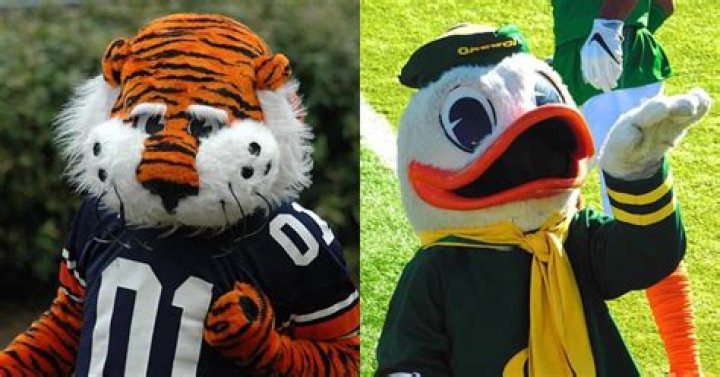 What teams have a tiger mascot?