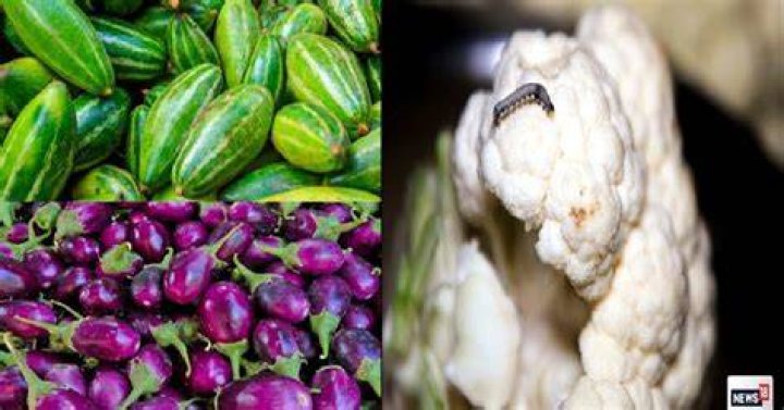 What vegetable causes worms in humans?