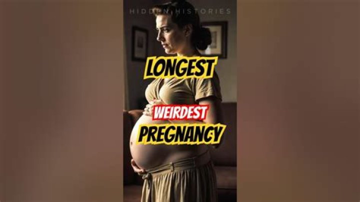 What was the longest pregnancy?