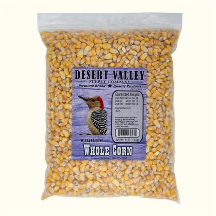 What wildlife eats corn?