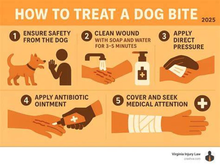 What will happen to a dog if it bites someone?