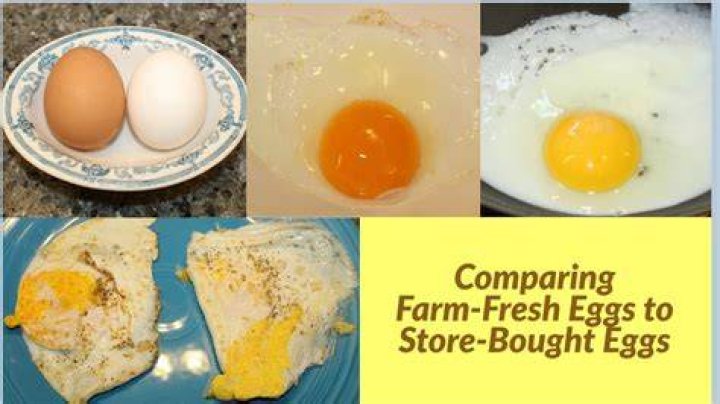 Whats the difference between store bought eggs and fresh eggs?