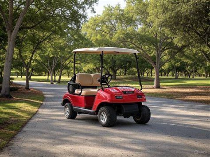 Where can golf carts be driven in Florida?