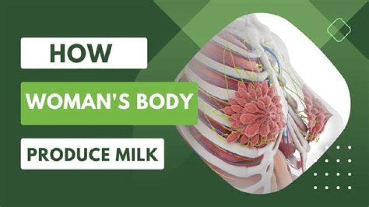 Where does milk come out of a woman?