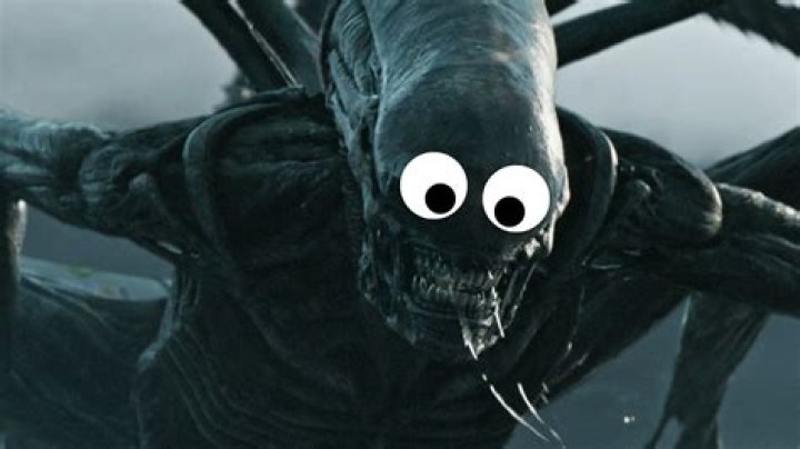 Where does the term googly come from?