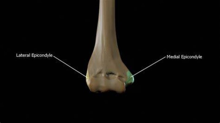 Where is the medial epicondyle?