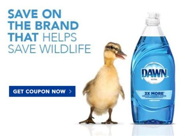 Which Dawn is safe for animals?