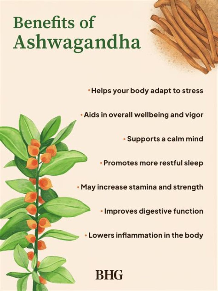 Which season is best to take ashwagandha?