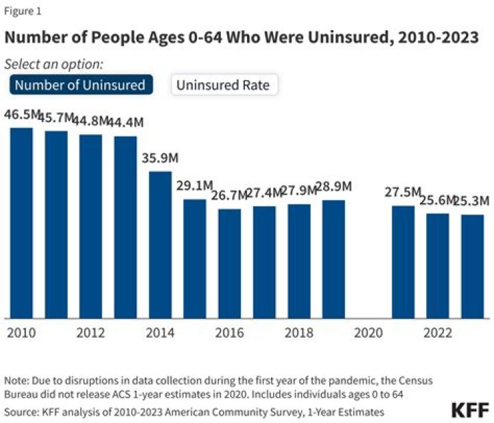 Who are the uninsured in the US?