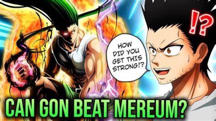 Who could have beat Meruem?