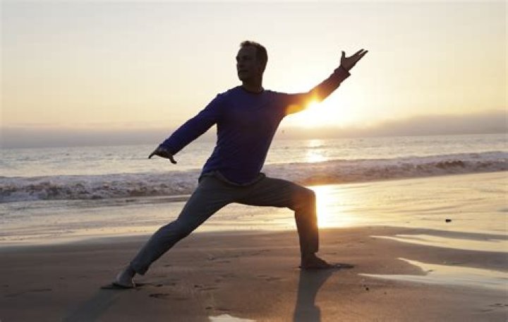 Who is Lee Holden qigong?