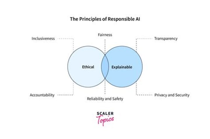 Who is responsible for system categorization?
