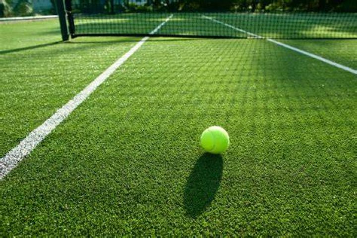 Who is the king of grass tennis?