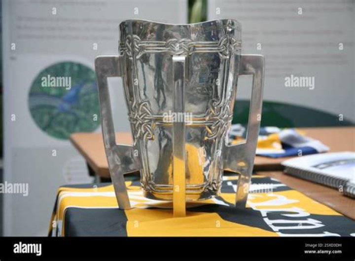 Who made the Liam Mccarthy Cup?