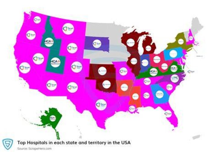 Who owns most of the hospitals in the US?