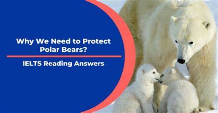 Why are alkynes polar?