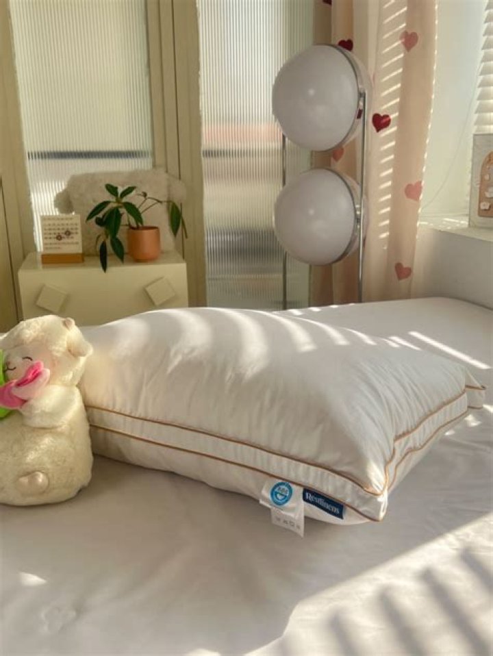 Why are goose down pillows so expensive?