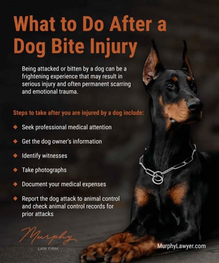 Why do dogs bite when you rub their belly?