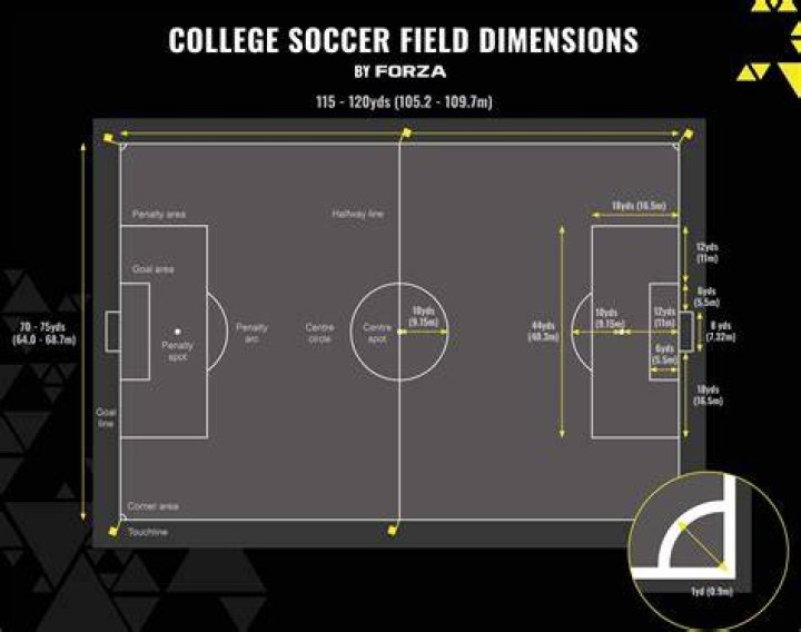 Why do they call a soccer field the pitch?