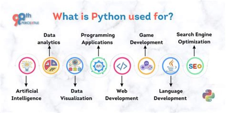 Why flag is used in Python?
