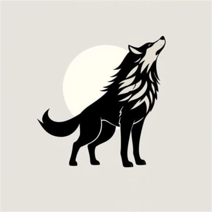 Why is Amaterasu a wolf?