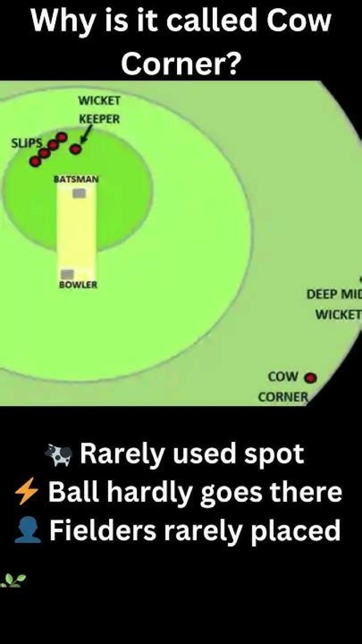 Why is it called cow corner?