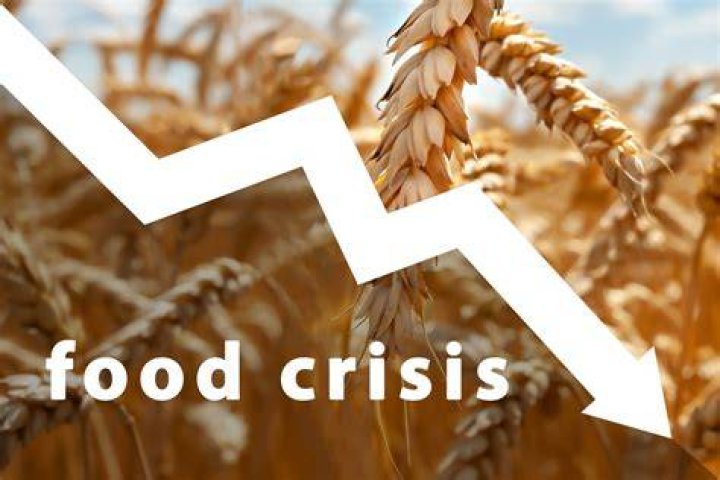 Why is there a shortage of food 2021?