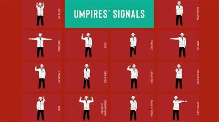 Why is umpire needed?
