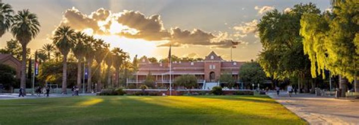 Why should I go to the University of Arizona?