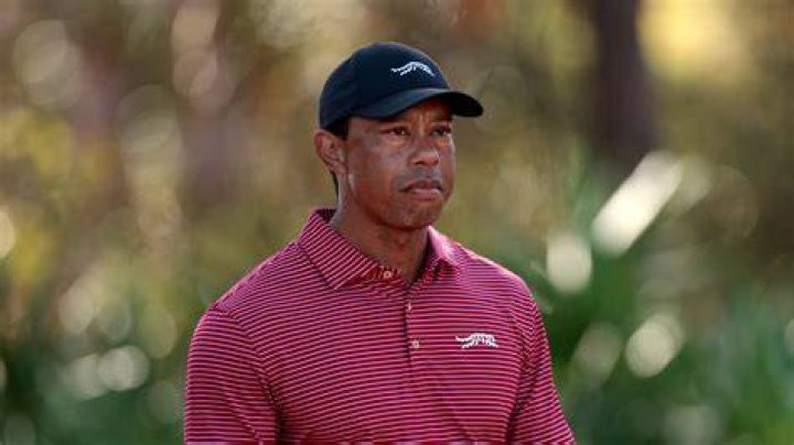 Will Tiger play pro golf again?
